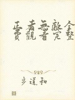 正者无敌全集免费观看完整版封面