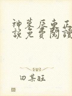 神墓辰东正版小说免费阅读