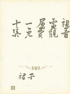 十一层电视剧全集免费观看