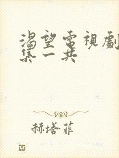 渴望电视剧多少集一共