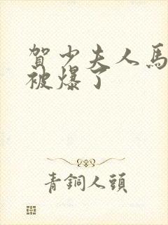 贺少夫人马甲又被爆了封面