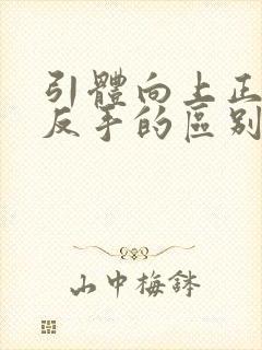 引体向上正手和反手的区别封面