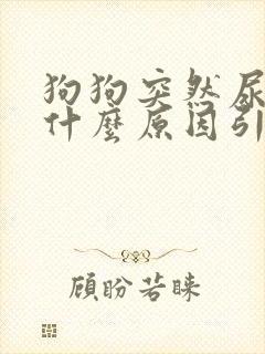 狗狗突然尿血是什么原因引起的封面