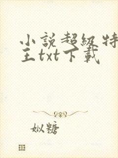 小说超级特战兵王txt下载