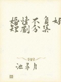 婚情不负好春光短剧分集