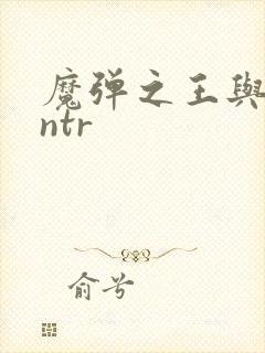 魔弹之王与战姬ntr