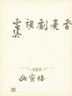 电视剧麦香29集