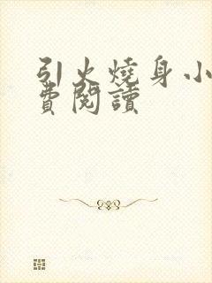 引火烧身小说免费阅读