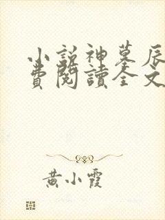 小说神墓辰东免费阅读全文