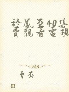 于凤至40集免费观看电视剧