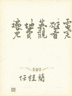 遍地英雄电视剧免费观看完整版高清