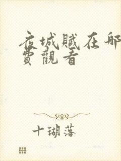 夜城赋在哪看免费观看封面