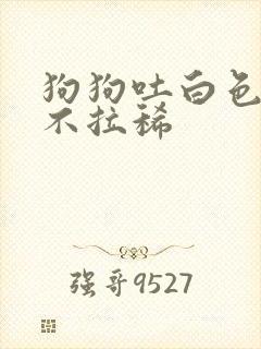 狗狗吐白色粘液不拉稀