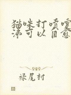 猫咪打喷嚏流鼻涕可以自愈吗