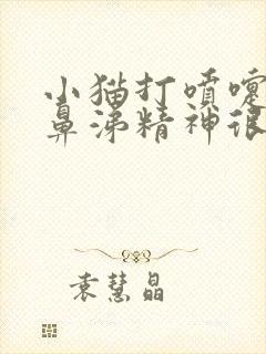 小猫打喷嚏不流鼻涕精神很好封面