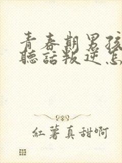 青春期男孩子不听话叛逆怎么应对