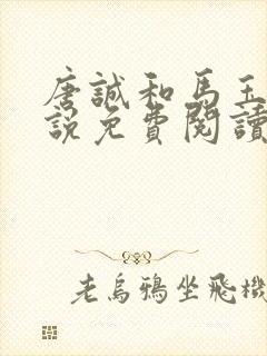 唐诚和马玉婷小说免费阅读封面