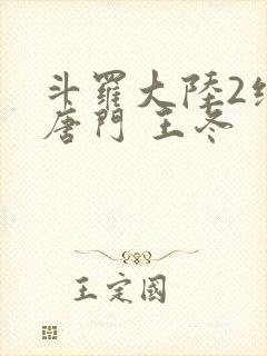斗罗大陆2绝世唐门 王冬