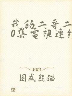 我的二哥二嫂50集电视连续剧封面
