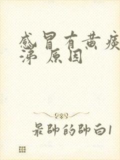 感冒有黄痰黄鼻涕 原因