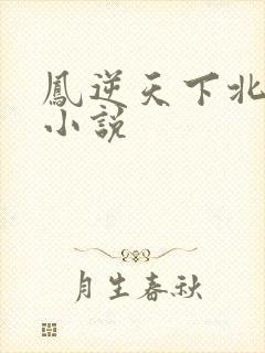 凤逆天下北月篇小说