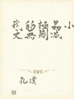 我的极品小姨全文无删减封面