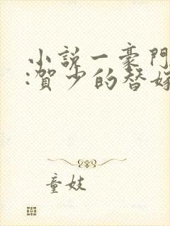 小说一豪门甜宠:贺少的替嫁新娘