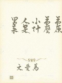 男人小弟弟起不来是什么原因