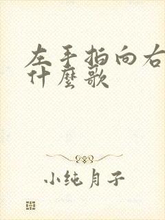 左手拍向右手是什么歌