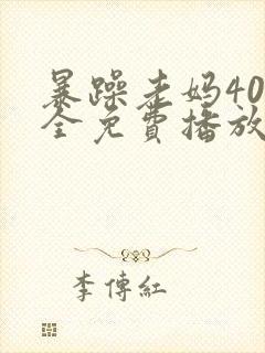 暴躁老妈40集全免费播放电视剧