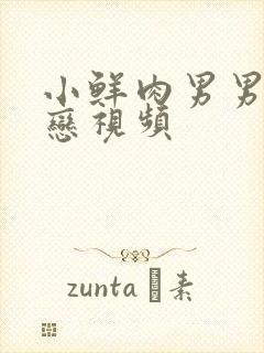 小鲜肉男男同性恋视频封面