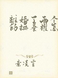 离婚了两个儿子的抚养权怎么判决