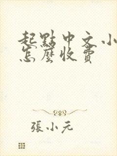 起点中文小说网怎么收费封面