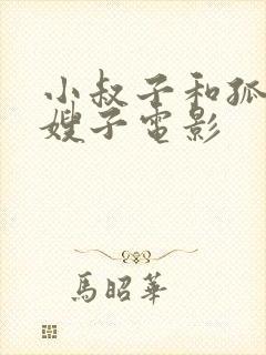 小叔子和孤独的嫂子电影封面