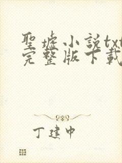 圣墟小说txt完整版下载