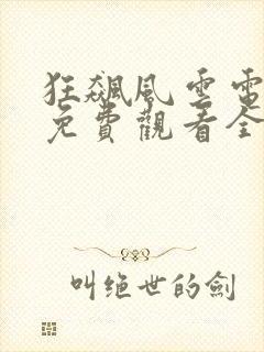 狂飙风云电视剧免费观看全集