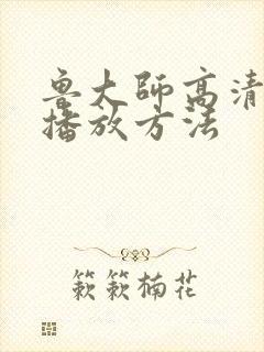 鲁大师高清视频播放方法