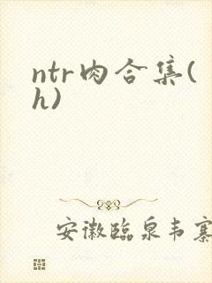 ntr肉合集(h)