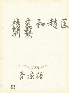 杨衮和赵匡胤的关系