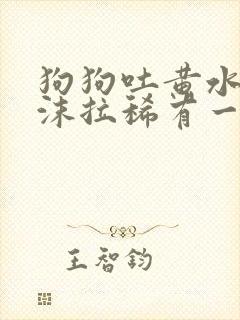 狗狗吐黄水带泡沫拉稀有一点带血