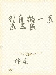 91自拍一区二区三区