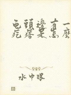 龟头边有一圈小疙瘩是怎么回事封面