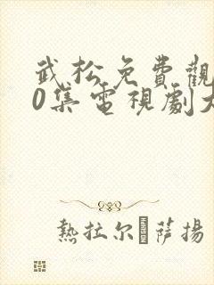 武松免费观看50集电视剧大全