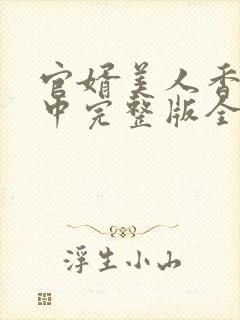 官婿美人香刘志中完整版全文阅读