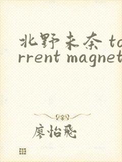 北野未奈 torrent magnet