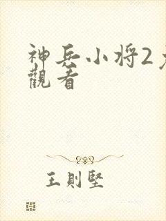 神兵小将2免费观看封面