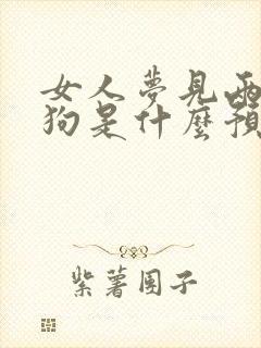 女人梦见两条大狗是什么预兆