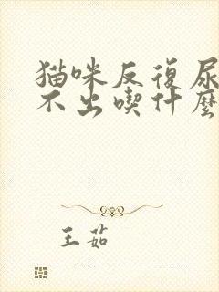 猫咪反复尿血尿不出吃什么药