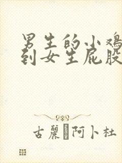 男生的小鸡鸡插到女生屁股里