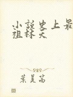 小说史上最狂老祖林天